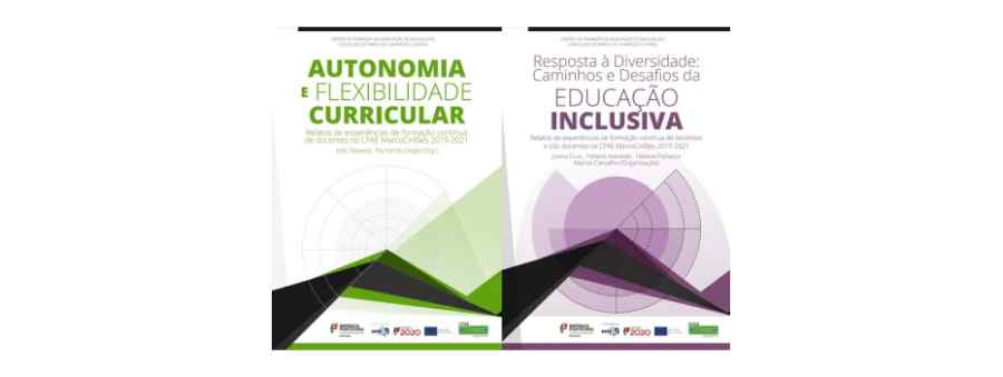 Capa - Autonomia e Flexibilidade Curricular - Relatos de Experiências de Formação Contínua de Docentes no CFAE MarcoCinfães-2019-2021