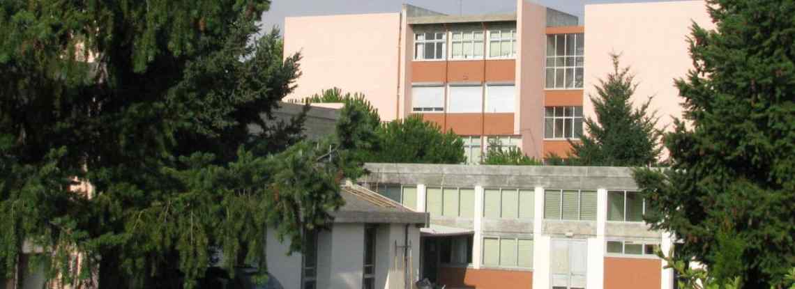 Estratégia de Educação para a Cidadania no AE de Miranda do Douro